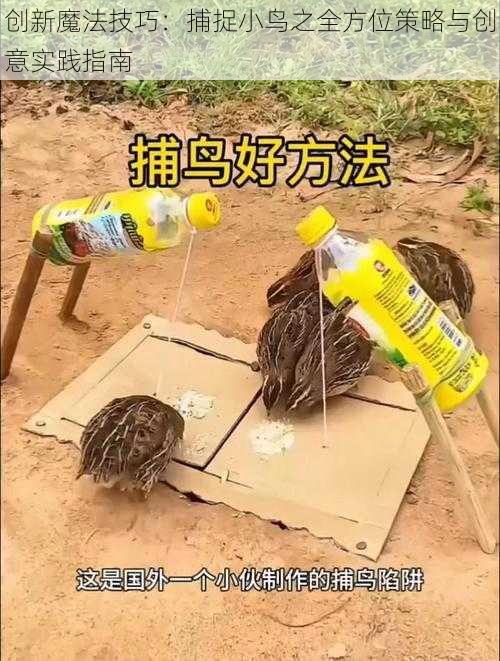 创新魔法技巧:捕捉小鸟之全方位策略与创意实践指南
