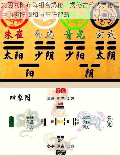 九阴九阳布阵组合揭秘:揭秘古代武学秘籍中的阴阳调和与布阵智慧