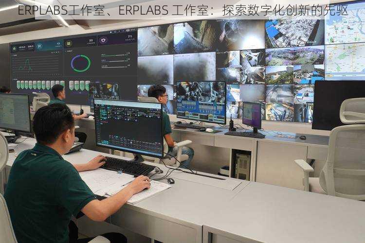 ERPLABS工作室、ERPLABS 工作室:探索数字化创新的先驱