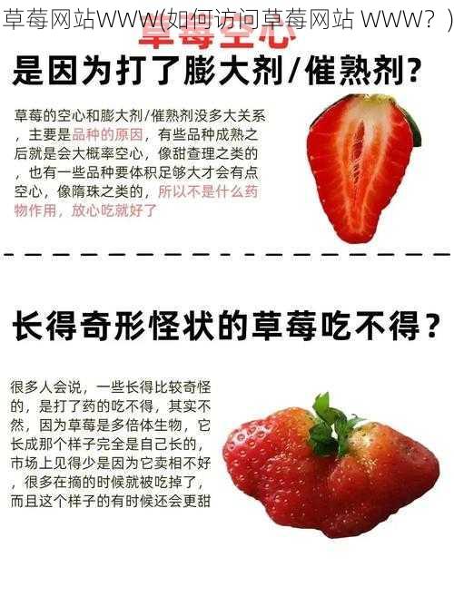 草莓网站WWW(如何访问草莓网站 WWW?)