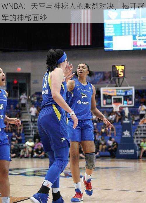 WNBA:天空与神秘人的激烈对决,揭开冠军的神秘面纱