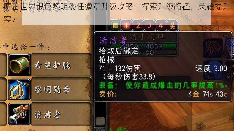 魔兽世界银色黎明委任徽章升级攻略:探索升级路径,荣耀提升实力