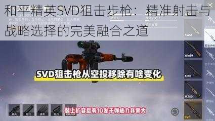 和平精英SVD狙击步枪:精准射击与战略选择的完美融合之道