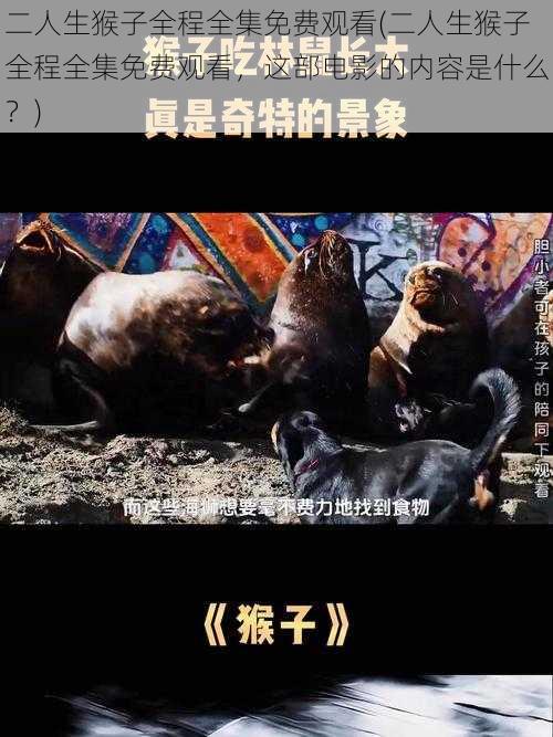 二人生猴子全程全集免费观看(二人生猴子全程全集免费观看,这部电影的内容是什么?)
