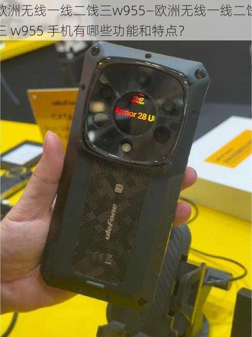 欧洲无线一线二饯三w955—欧洲无线一线二饯三 w955 手机有哪些功能和特点?
