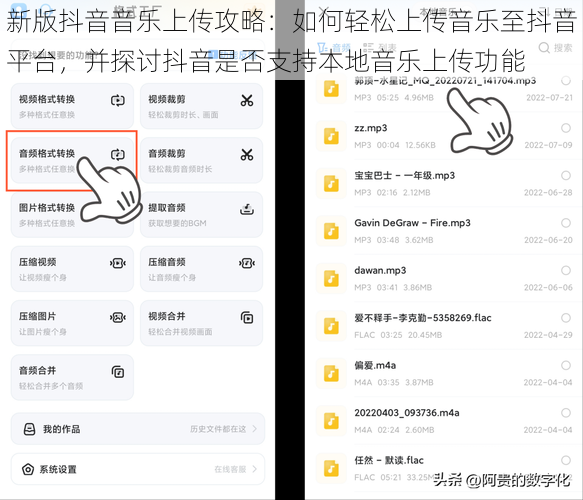 新版抖音音乐上传攻略:如何轻松上传音乐至抖音平台,并探讨抖音是否支持本地音乐上传功能
