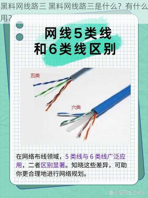 黑料网线路三 黑料网线路三是什么?有什么用?