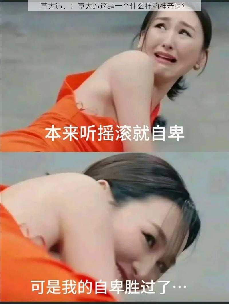 草大逼、:草大逼这是一个什么样的神奇词汇
