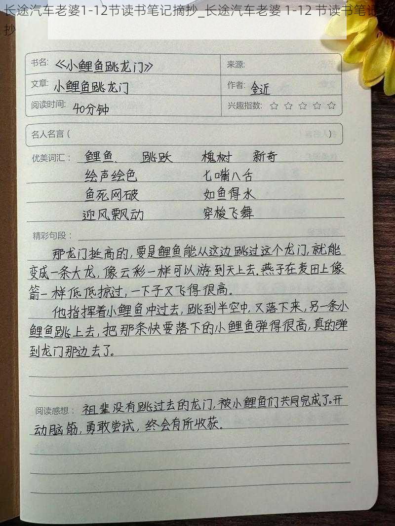 长途汽车老婆1-12节读书笔记摘抄_长途汽车老婆 1-12 节读书笔记摘抄