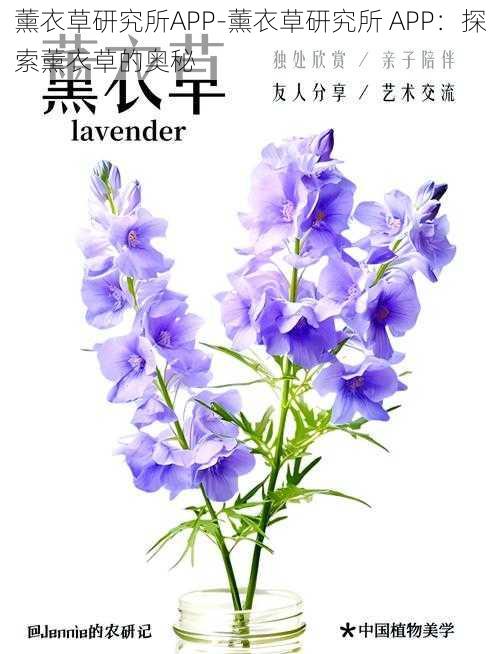 薰衣草研究所APP-薰衣草研究所 APP:探索薰衣草的奥秘
