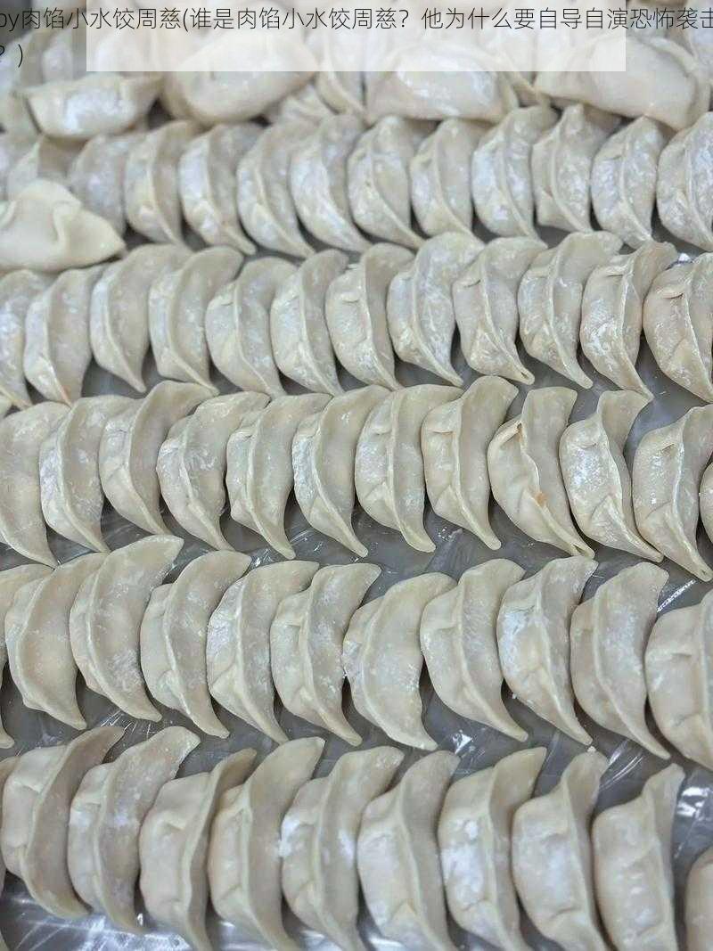 by肉馅小水饺周慈(谁是肉馅小水饺周慈?他为什么要自导自演恐怖袭击?)