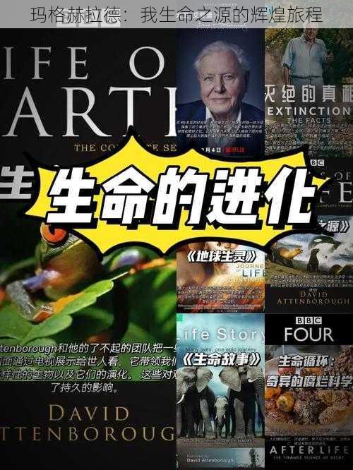 玛格赫拉德:我生命之源的辉煌旅程