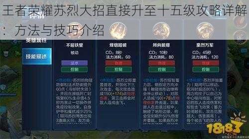 王者荣耀苏烈大招直接升至十五级攻略详解:方法与技巧介绍