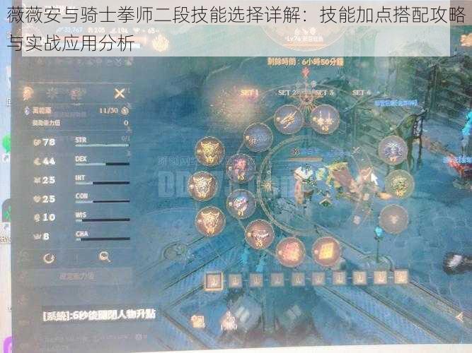 薇薇安与骑士拳师二段技能选择详解:技能加点搭配攻略与实战应用分析