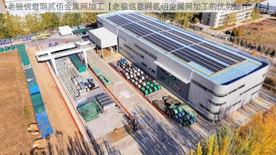 老狼信息网贰佰金属网加工【老狼信息网贰佰金属网加工的优势是什么？】