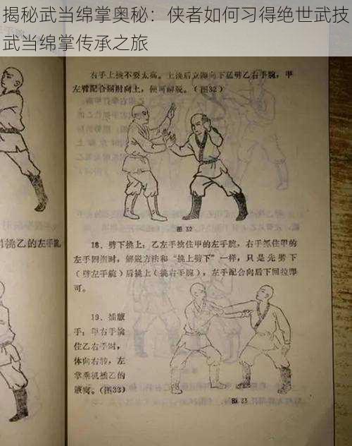 揭秘武当绵掌奥秘:侠者如何习得绝世武技武当绵掌传承之旅
