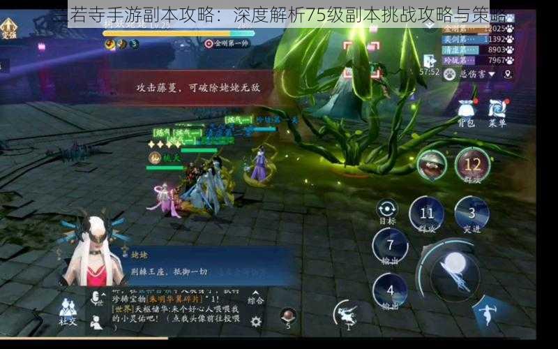 兰若寺手游副本攻略:深度解析75级副本挑战攻略与策略