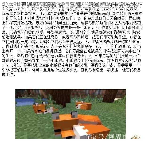 我的世界狐狸驯服攻略:掌握驯服狐狸的步骤与技巧