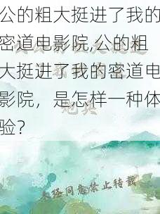 公的粗大挺进了我的密道电影院,公的粗大挺进了我的密道电影院,是怎样一种体验?