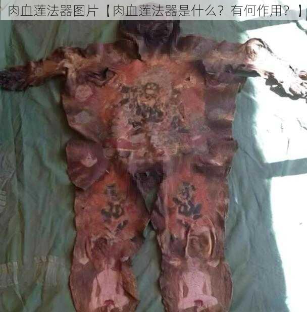 肉血莲法器图片【肉血莲法器是什么?有何作用?】