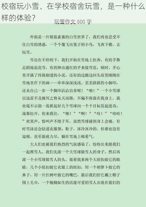 校宿玩小雪、在学校宿舍玩雪,是一种什么样的体验?