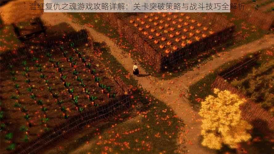 温红复仇之魂游戏攻略详解:关卡突破策略与战斗技巧全解析