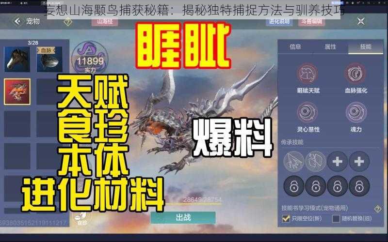 妄想山海颙鸟捕获秘籍:揭秘独特捕捉方法与驯养技巧
