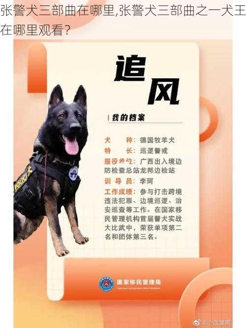 张警犬三部曲在哪里,张警犬三部曲之一犬王在哪里观看？