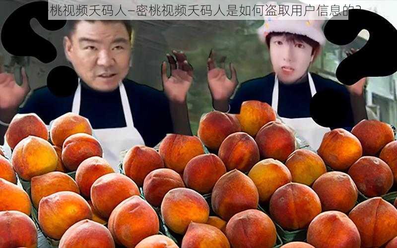 密桃视频夭码人—密桃视频夭码人是如何盗取用户信息的?