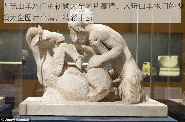 人玩山羊水门的视频大全图片高清、人玩山羊水门的视频大全图片高清,精彩不断
