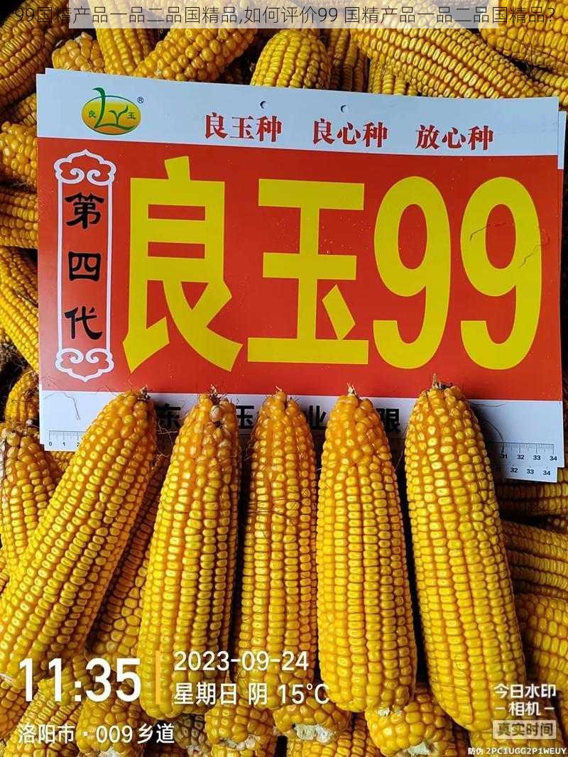 99国精产品一品二品国精品,如何评价99 国精产品一品二品国精品?
