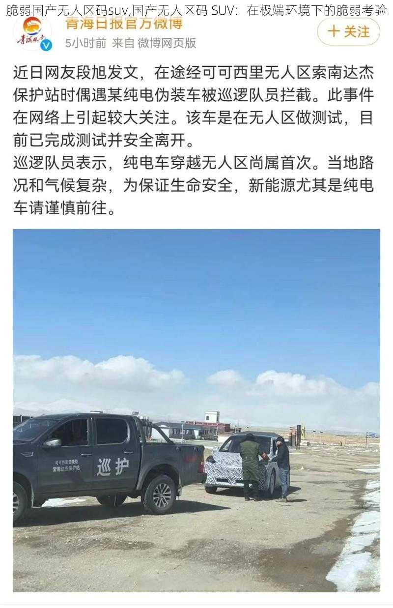 脆弱国产无人区码suv,国产无人区码 SUV:在极端环境下的脆弱考验