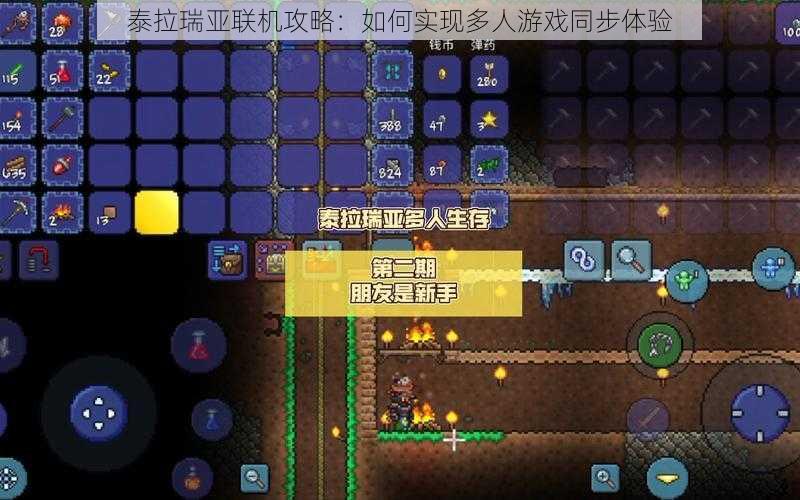 泰拉瑞亚联机攻略:如何实现多人游戏同步体验