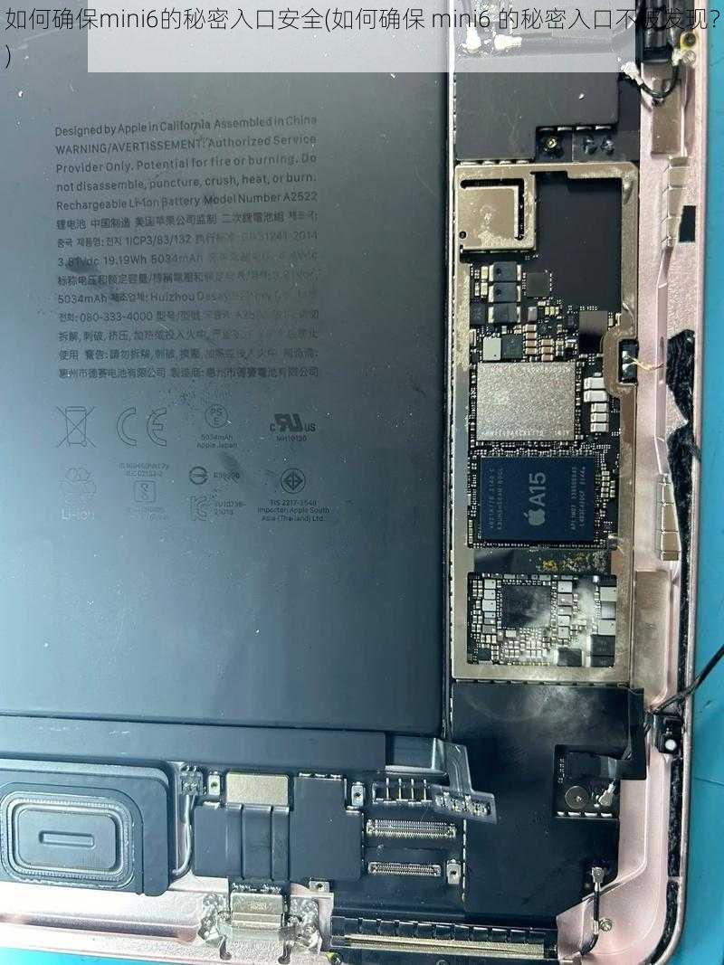 如何确保mini6的秘密入口安全(如何确保 mini6 的秘密入口不被发现?)