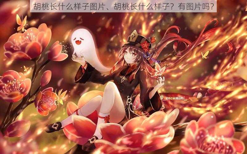 胡桃长什么样子图片、胡桃长什么样子?有图片吗?