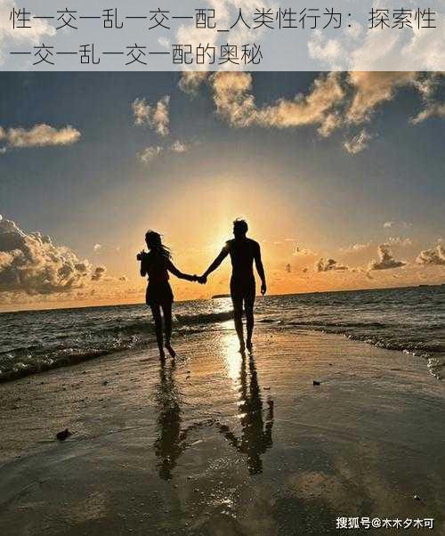 性一交一乱一交一配_人类性行为:探索性一交一乱一交一配的奥秘