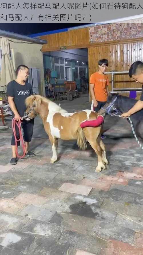 狗配人怎样配马配人呢图片(如何看待狗配人和马配人?有相关图片吗?)