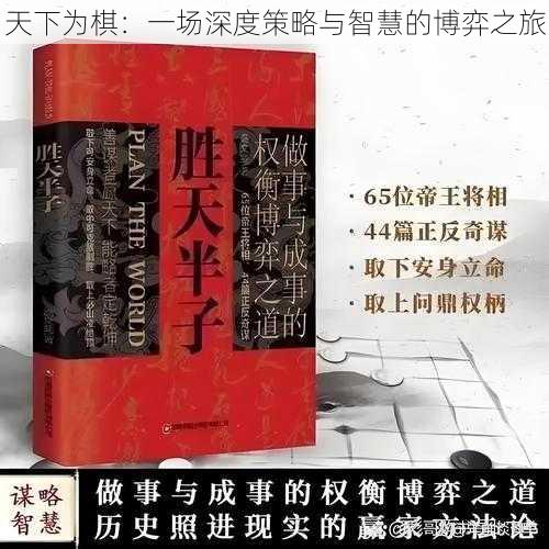 天下为棋:一场深度策略与智慧的博弈之旅