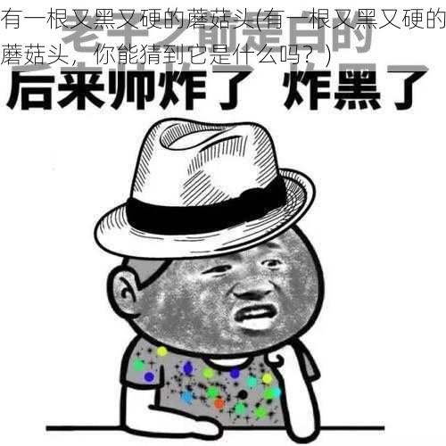 有一根又黑又硬的蘑菇头(有一根又黑又硬的蘑菇头,你能猜到它是什么吗?)