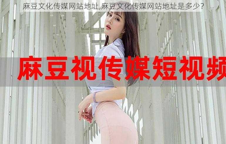 麻豆文化传媒网站地址,麻豆文化传媒网站地址是多少?