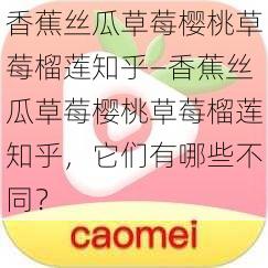 香蕉丝瓜草莓樱桃草莓榴莲知乎—香蕉丝瓜草莓樱桃草莓榴莲知乎,它们有哪些不同?