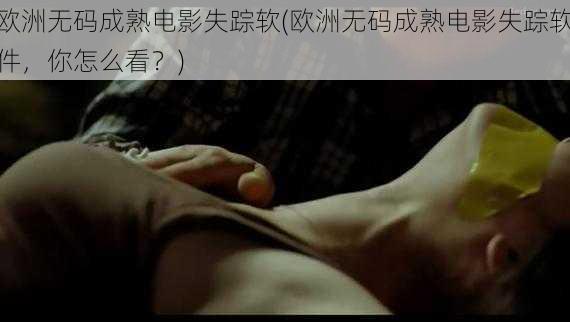 欧洲无码成熟电影失踪软(欧洲无码成熟电影失踪软件,你怎么看?)