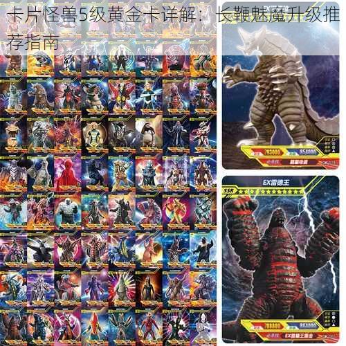 卡片怪兽5级黄金卡详解:长鞭魅魔升级推荐指南