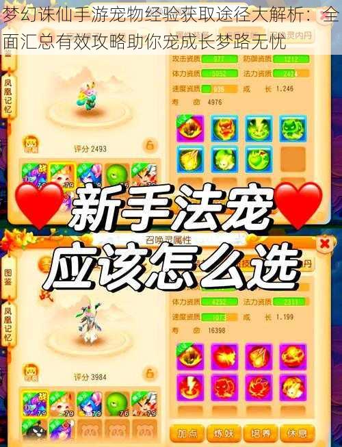梦幻诛仙手游宠物经验获取途径大解析:全面汇总有效攻略助你宠成长梦路无忧