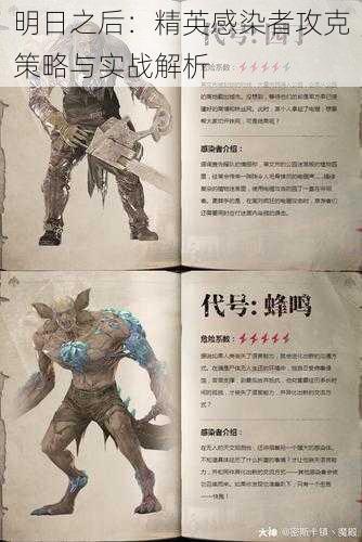 明日之后:精英感染者攻克策略与实战解析