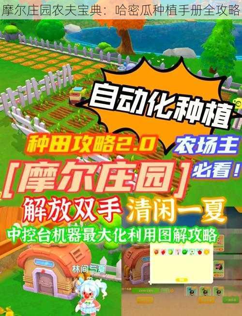 摩尔庄园农夫宝典:哈密瓜种植手册全攻略