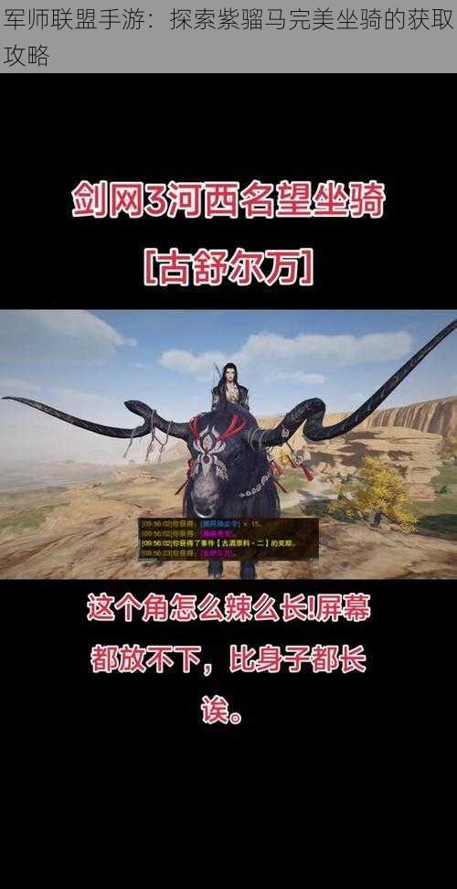 军师联盟手游:探索紫骝马完美坐骑的获取攻略