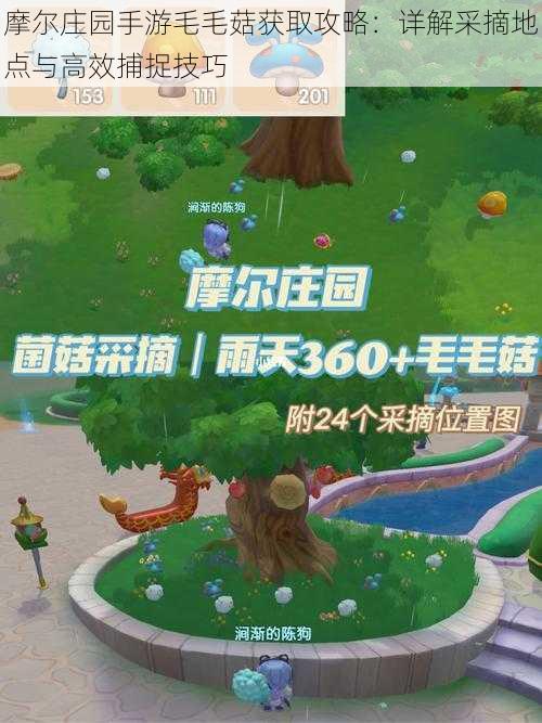 摩尔庄园手游毛毛菇获取攻略:详解采摘地点与高效捕捉技巧