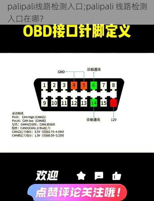 palipali线路检测入口;palipali 线路检测入口在哪?