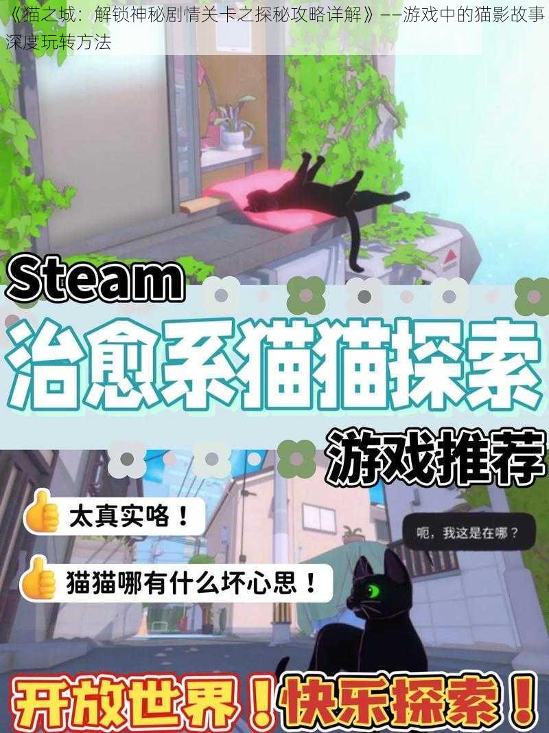 《猫之城:解锁神秘剧情关卡之探秘攻略详解》——游戏中的猫影故事深度玩转方法